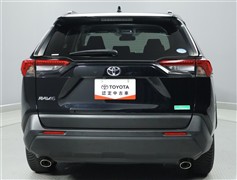 RAV4 X