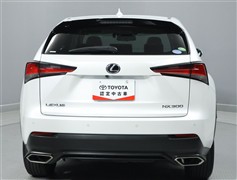 NX300 Iパッケージ