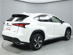 NX300 Iパッケージ