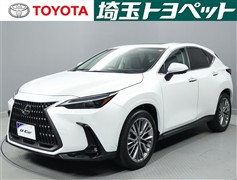 NX250 バージョンL