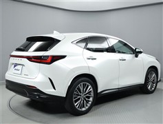 NX250 バージョンL