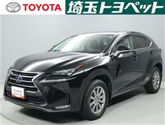 NX300h Iパッケージ