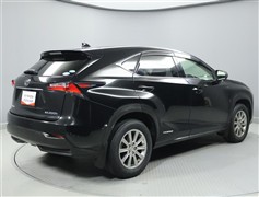 NX300h Iパッケージ