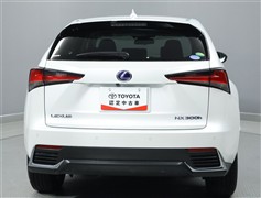 NX300h ブラック シークエンス