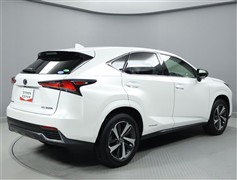 NX300h ブラック シークエンス