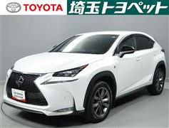 NX300h Fスポーツ