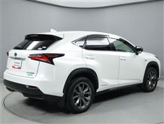 NX300h Fスポーツ