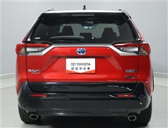 RAV4 PHEV ブラックトーン