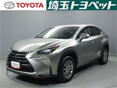 NX300h