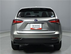 NX300h