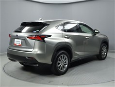 NX300h