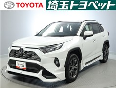 RAV4 G