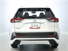 RAV4 G