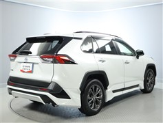 RAV4 G