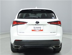 NX300