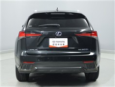NX300h Fスポーツ
