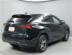 NX300h Fスポーツ