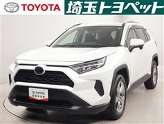 RAV4 X