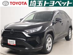 RAV4 X