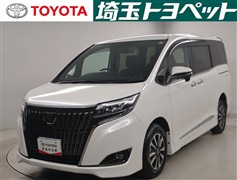 エスクァイア  Gi プレミアム BT