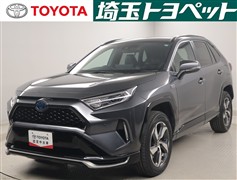 RAV4 PHV G