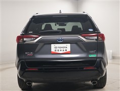 RAV4 PHV G