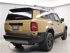 ランドクルーザー250ZX F ED