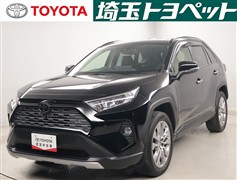 RAV4 G Zパッケージ