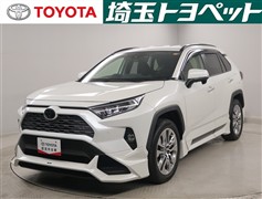 RAV4 G Zパッケージ