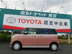 ムーヴキャンバス ストライプス G