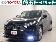 RAV4 G Zパッケージ