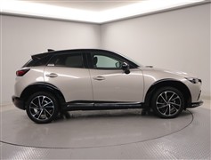 CX-3 15S Vivid Mono