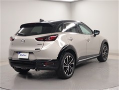 CX-3 15S Vivid Mono