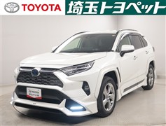 RAV4 ハイブリッドG