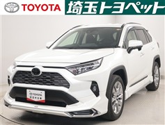 RAV4 G Zパッケージ