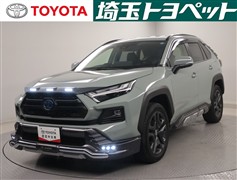 RAV4 HV アドベンチャー