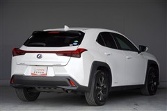 UX250h ブラウンエディション