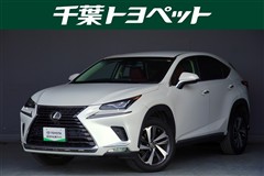 レクサス NX300 I-PKG
