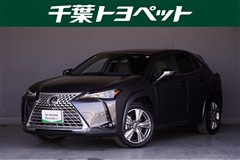 UX250h グレイスフル Exp