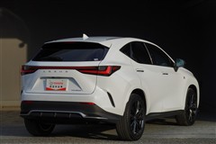 NX350h F SPORT