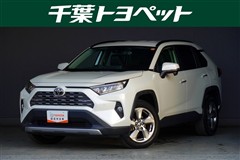 RAV4 G