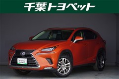 NX300h VER-L AWD