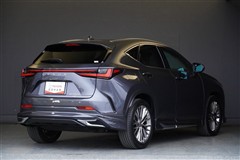 NX450h+ VER-L AWD