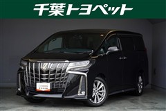 アルファード Sタイプゴールド2