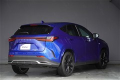 NX450h+ F SPORT AWD