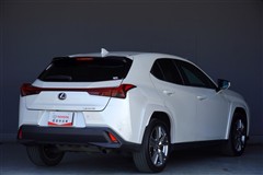 UX250h グレイスフル Exp