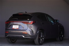 NX350h F SPORT AWD