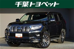 ランドクルーザープラド TZ-G