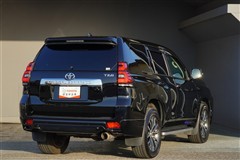 ランドクルーザープラド TZ-G