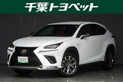 NX300 F SPORT